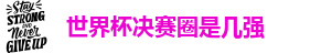 世界杯决赛圈是几强